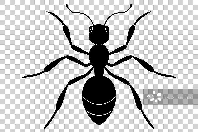 蚂蚁剪影图片素材