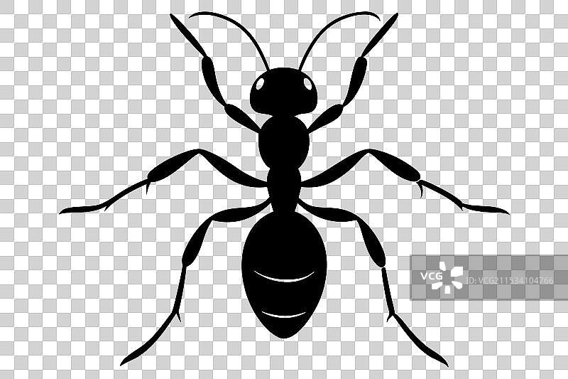 蚂蚁剪影图片素材