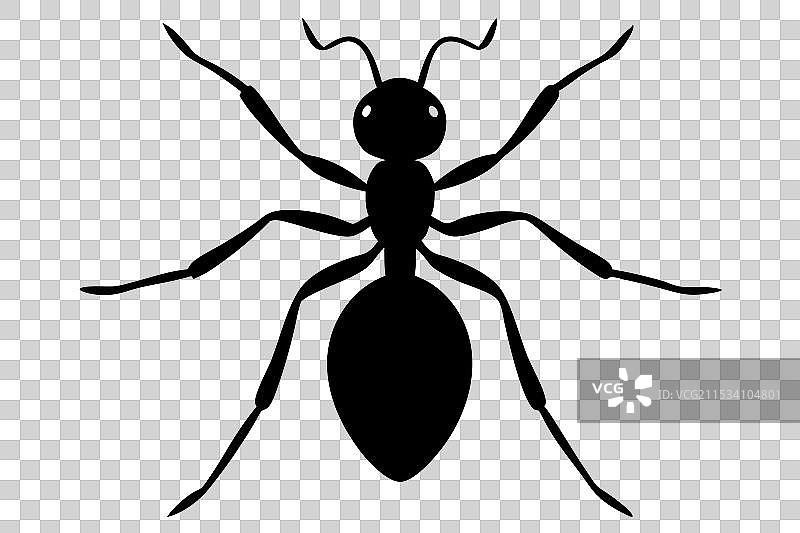 蚂蚁剪影图片素材