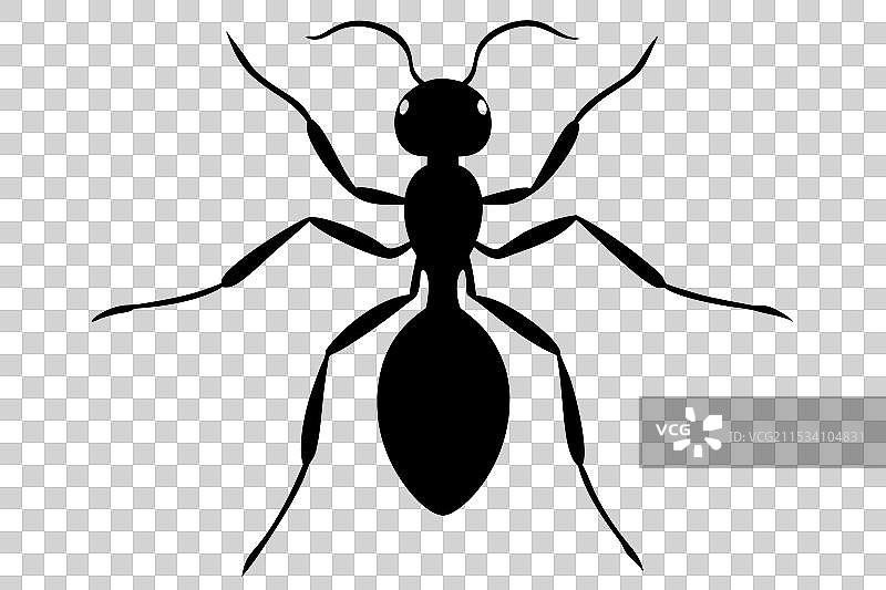 蚂蚁剪影图片素材