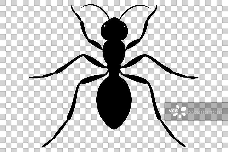 蚂蚁剪影图片素材