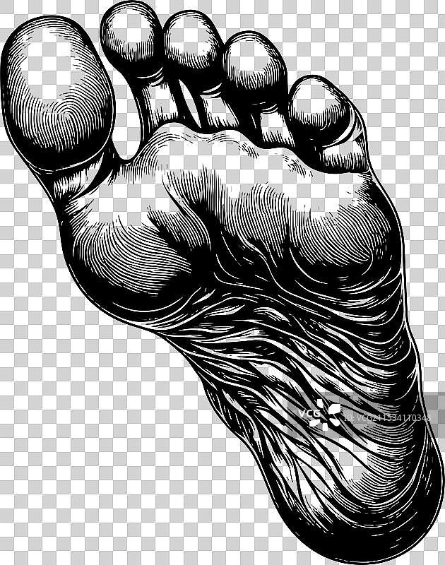 成年人的脚部细节特写图片素材