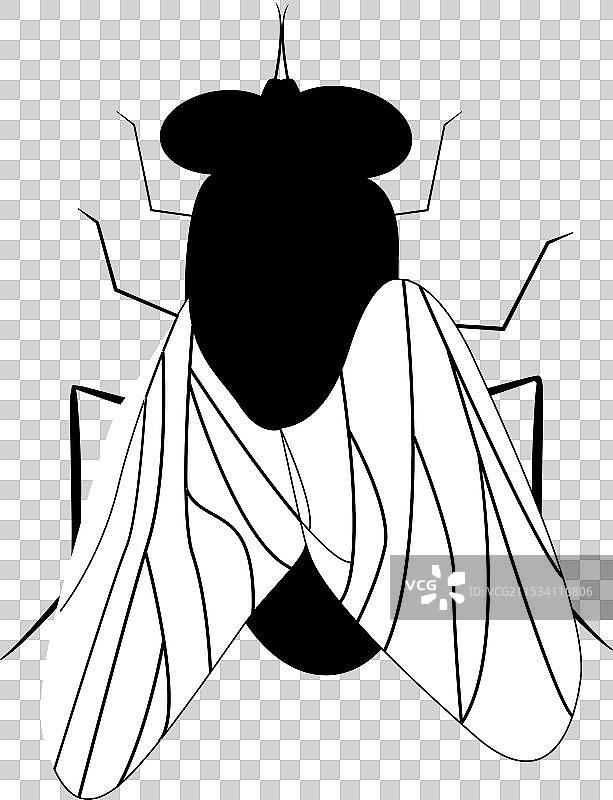 家蝇图标 家庭常见的昆虫图片素材