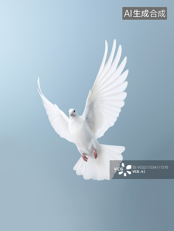 【AI数字艺术】圣洁的白鸽,和平的象征图片素材