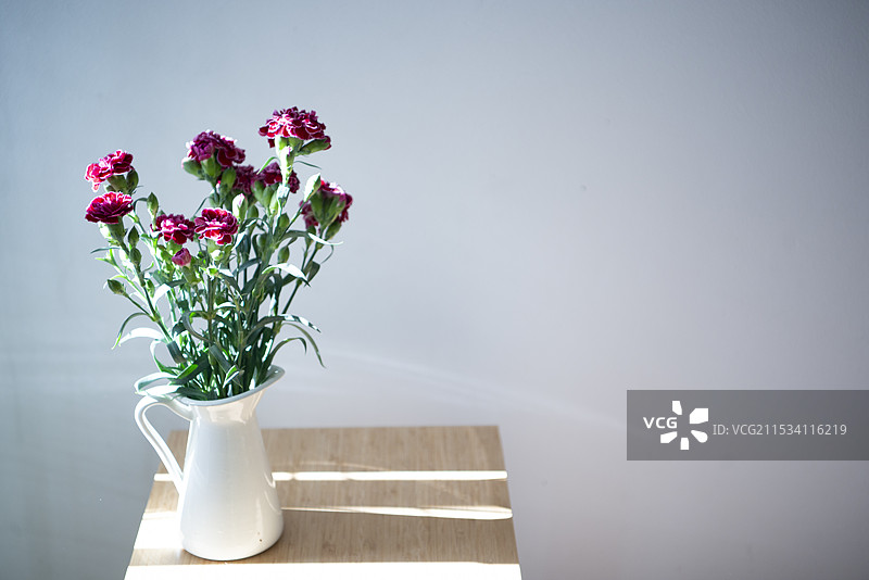 花瓶中的康乃馨排列图片素材