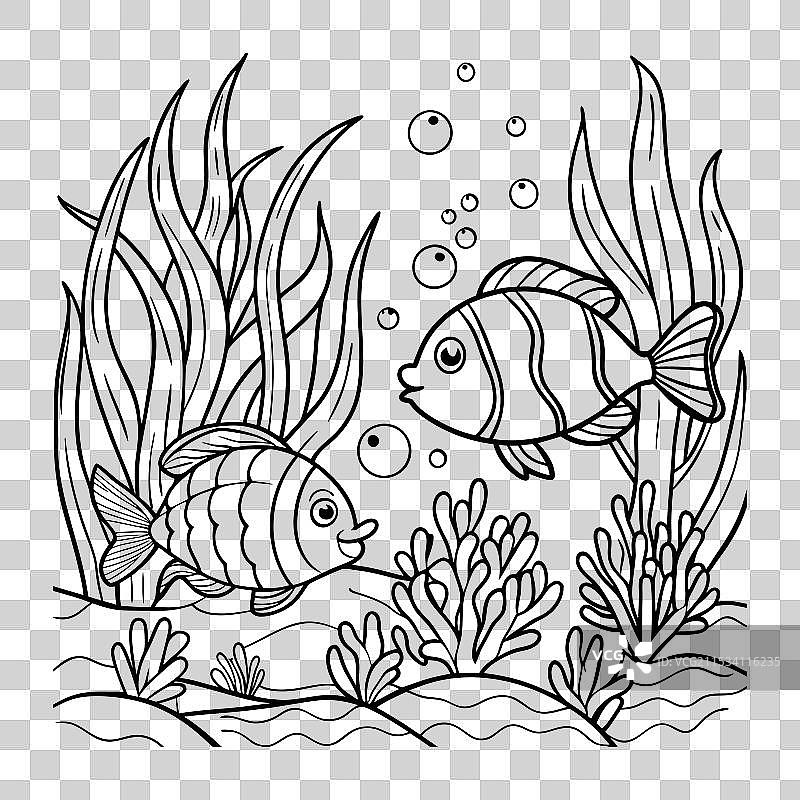 鱼的轮廓设计图片素材