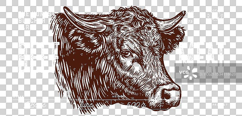 牛肉头标签图片素材