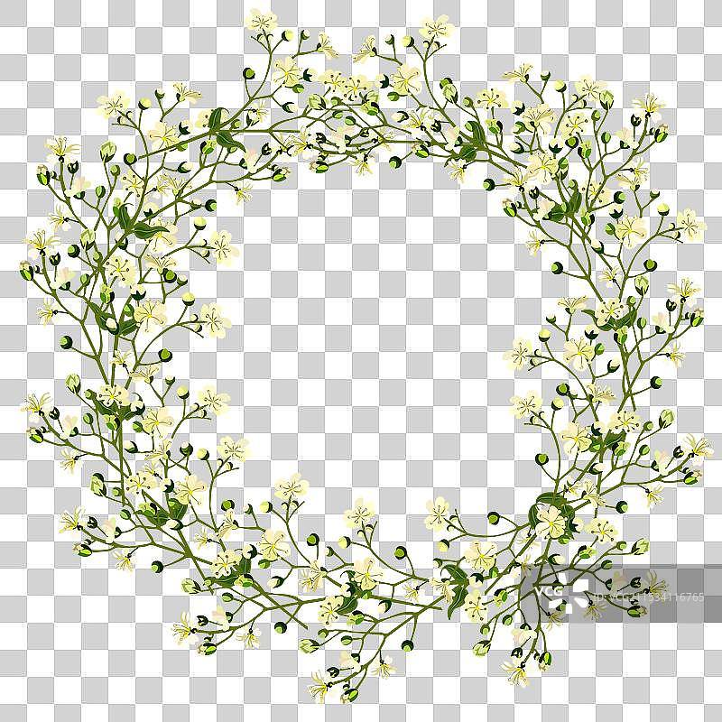 像牛蒡、满天星的花卉和草药图片素材