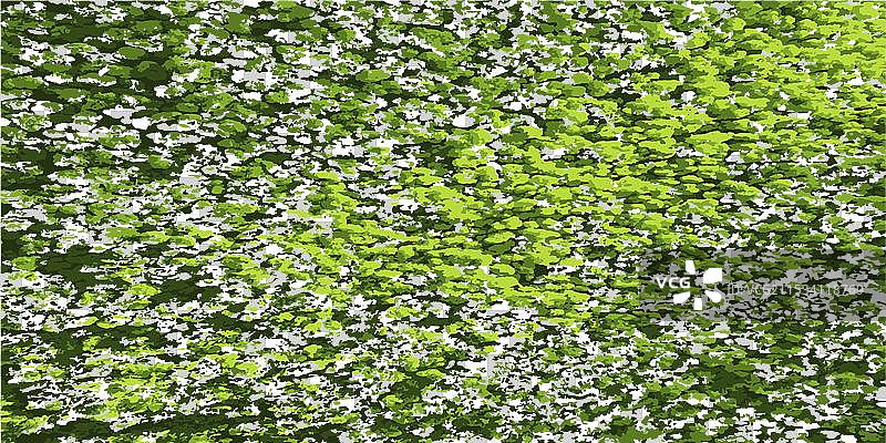 绿色树冠绿色植物背景图片素材