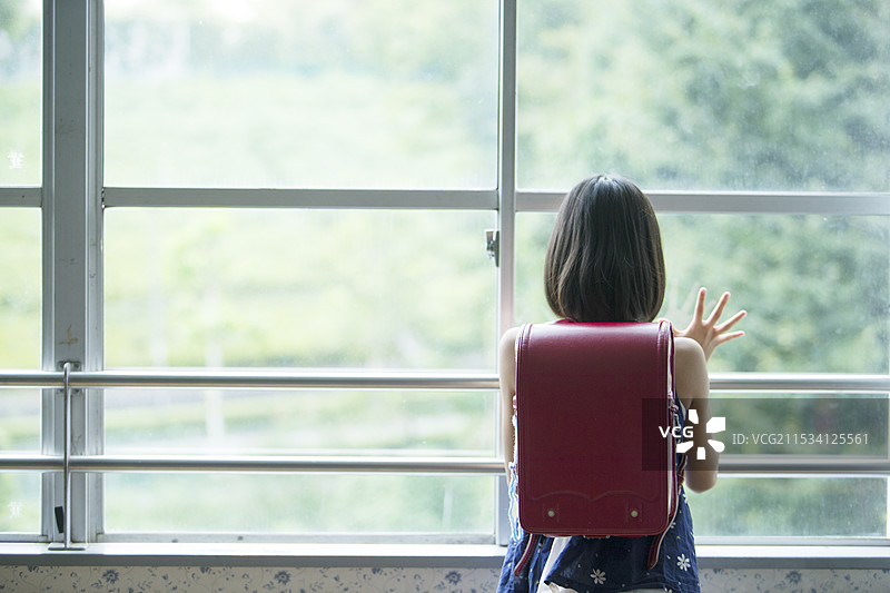 小学女孩们背对着窗外观看图片素材