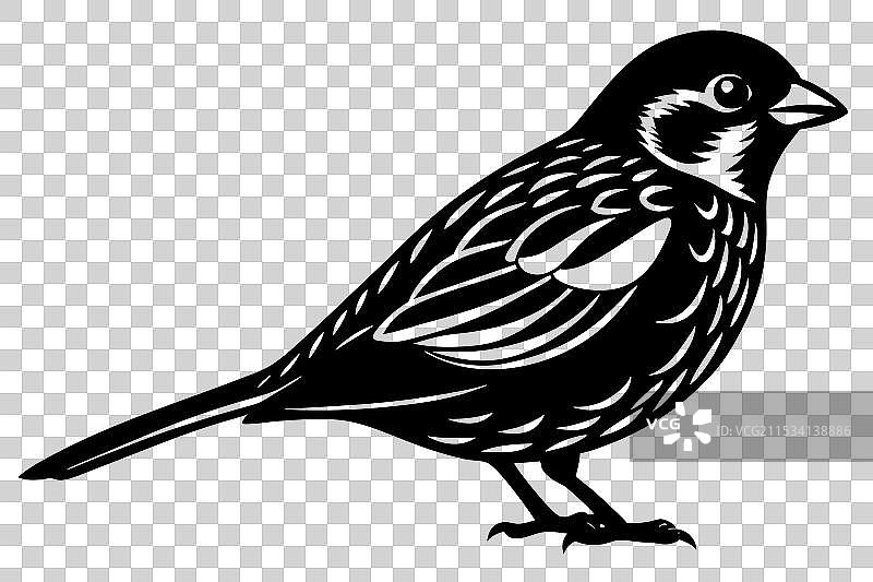 麻雀剪影艺术图片素材