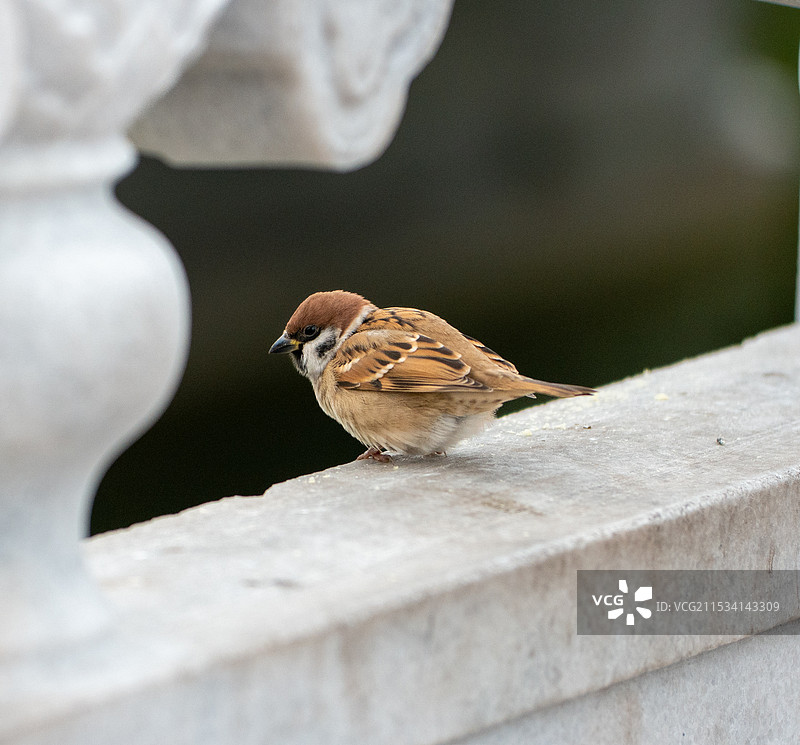 太原随拍图片素材