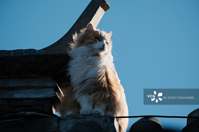 北京胡同图片素材