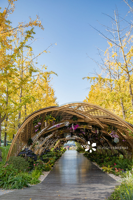 秋日的钱江世纪公园图片素材