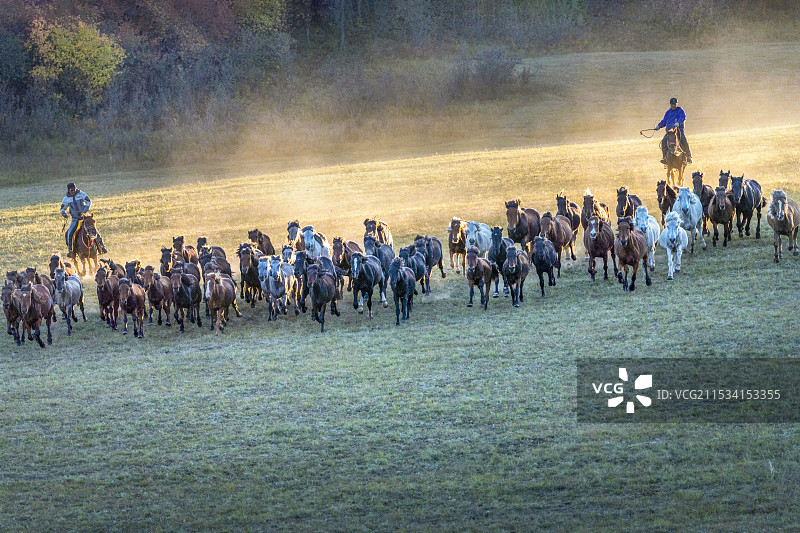 奔马图图片素材