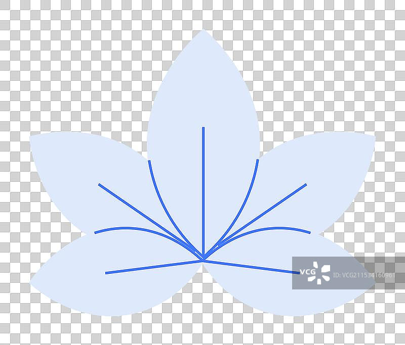 蓝色五瓣花，花瓣上有细线纹理图片素材