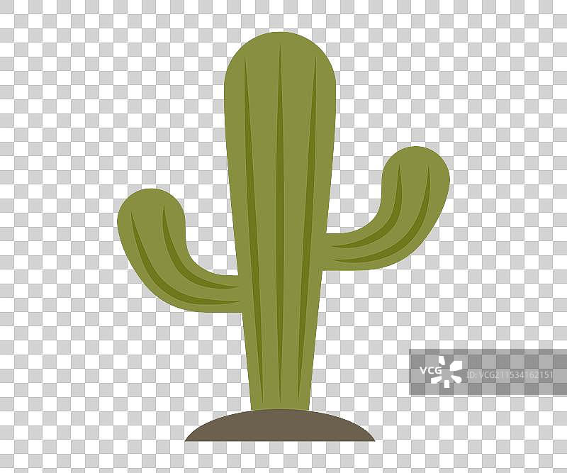 仙人掌 沙漠植物 刺痛的绿色灌木 有刺的图片素材