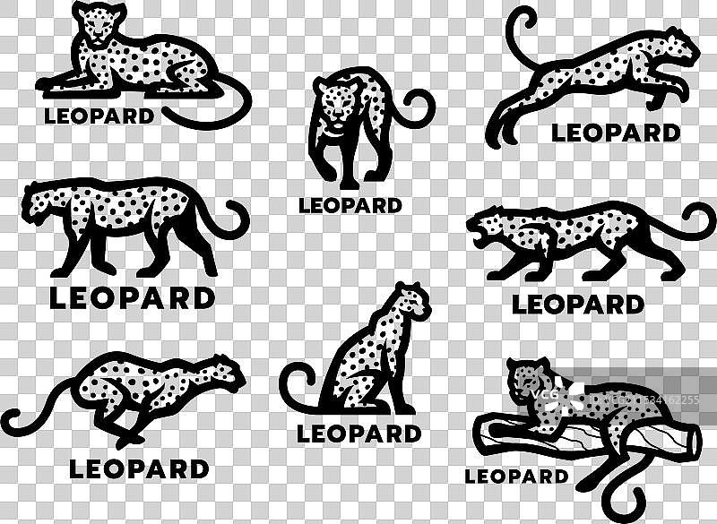 一组野猫标志：豹子、美洲虎、猎豹图片素材