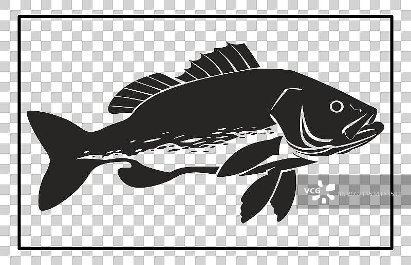 黑白巴拉蒙迪鱼剪影图片素材