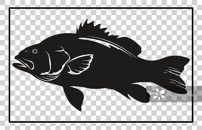 巴拉曼迪鱼剪影图片素材