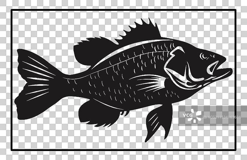 巴拉曼迪鱼剪影图片素材