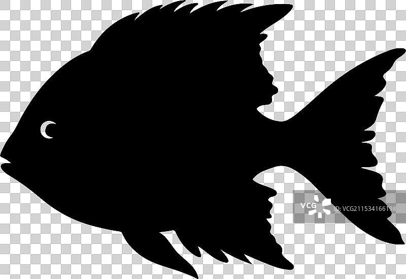 白色背景下的淡水鱼剪影图片素材