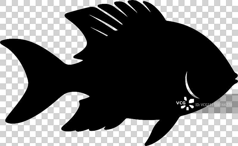 白色背景下的青鱼轮廓图片素材