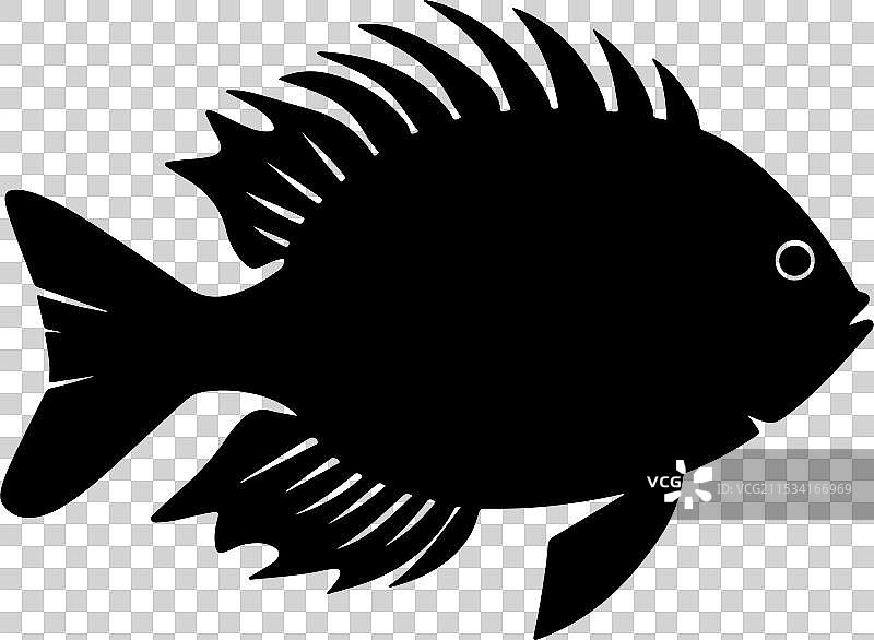 白色背景下的淡水鱼剪影图片素材