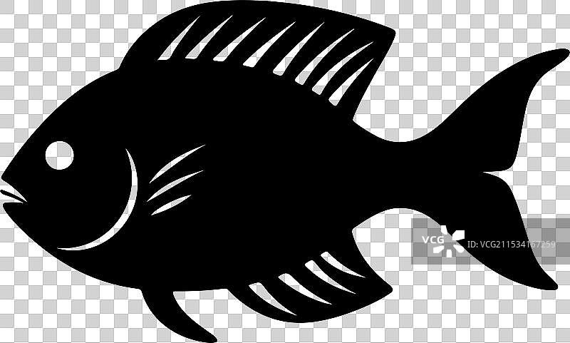 白色背景下的青鱼轮廓图片素材