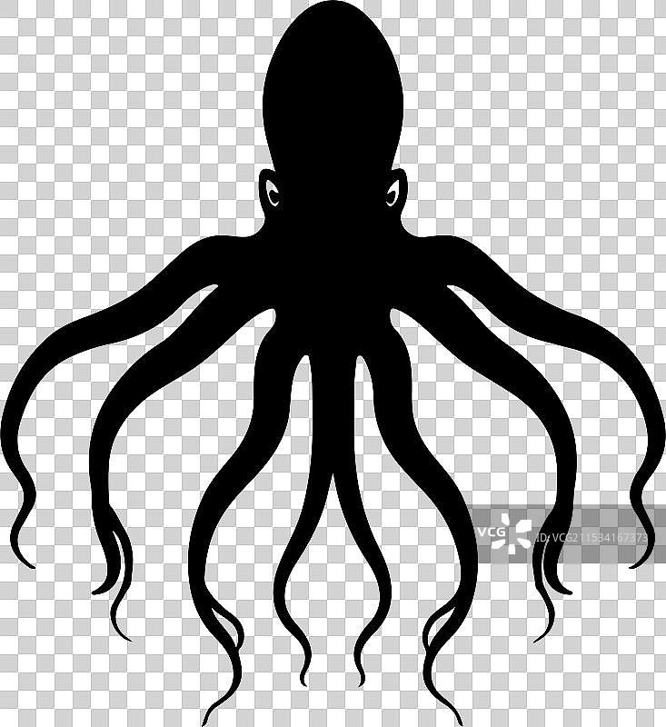 巨型鱿鱼剪影，白色背景图片素材