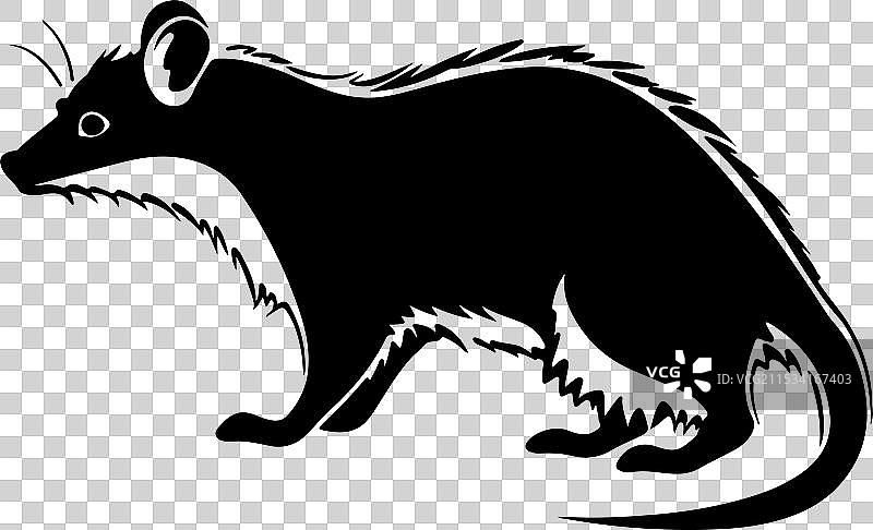 负鼠剪影，白色背景图片素材