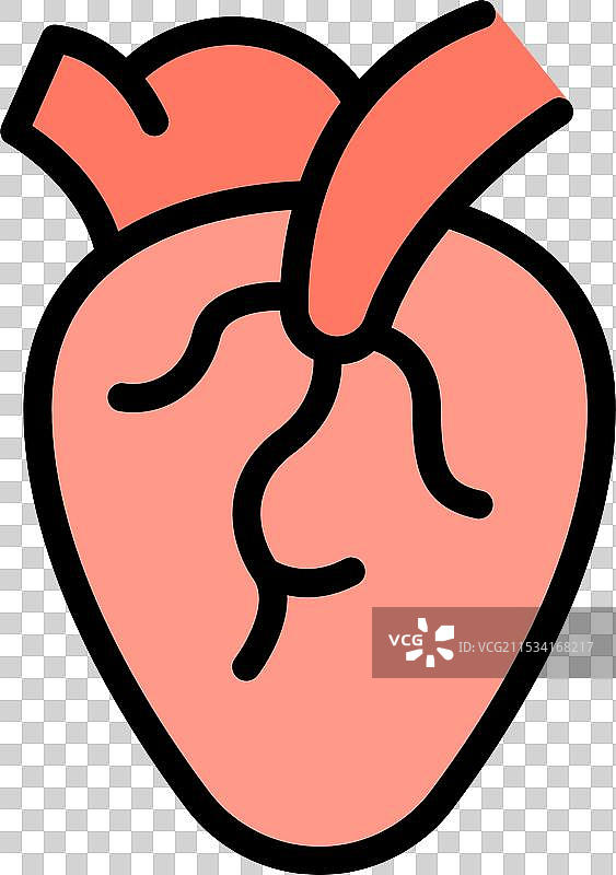 这幅简单的图描绘了一个人类心脏。图片素材