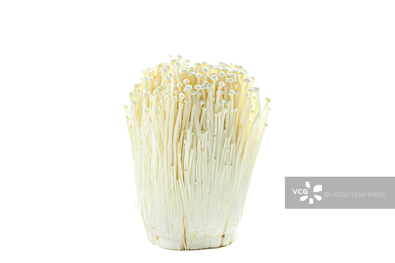 金针蘑菇 美食材 白色底背景 免抠静物特写图片素材