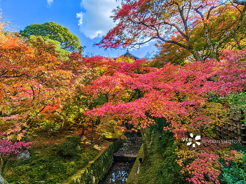 日本京都东福寺红叶2图片素材