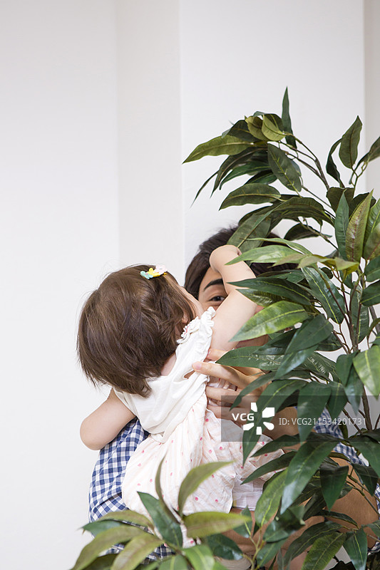 父母和孩子在植物的阴影下互相触碰图片素材