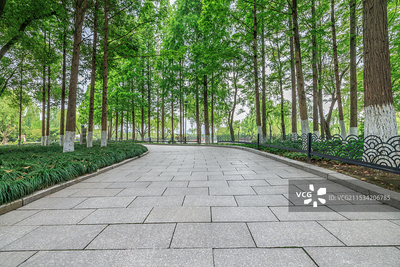 空的砖地道路和树林图片素材