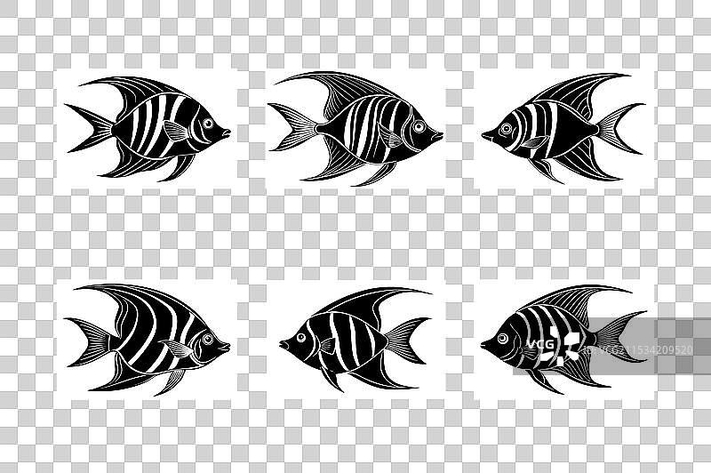 一组天使鱼剪影图片素材