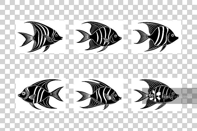 天使鱼剪影集图片素材