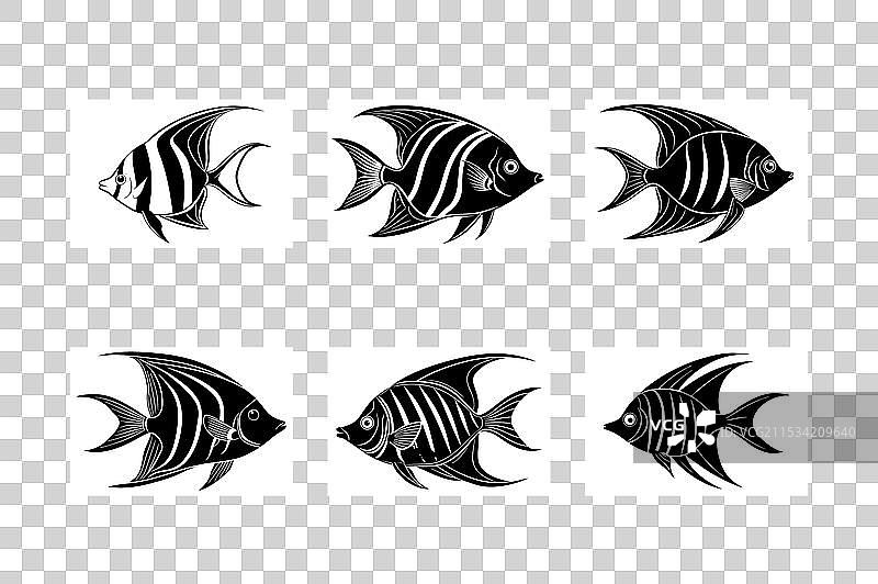 一组天使鱼剪影图片素材