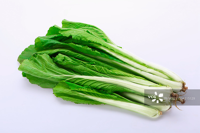 油菜(1)图片素材