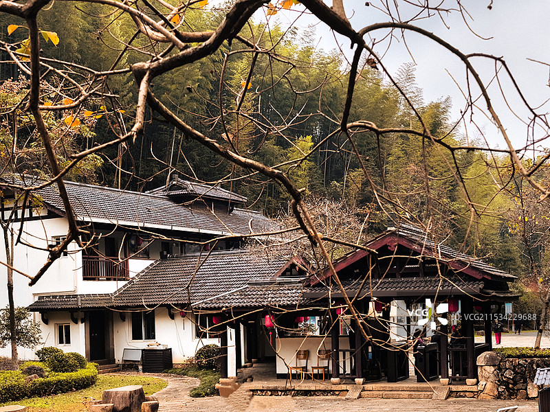 秋日里的静谧小院图片素材