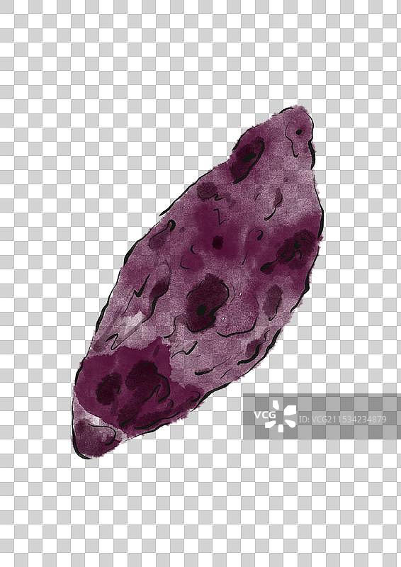 国潮风粗粮农作物插画元素-紫薯图片素材