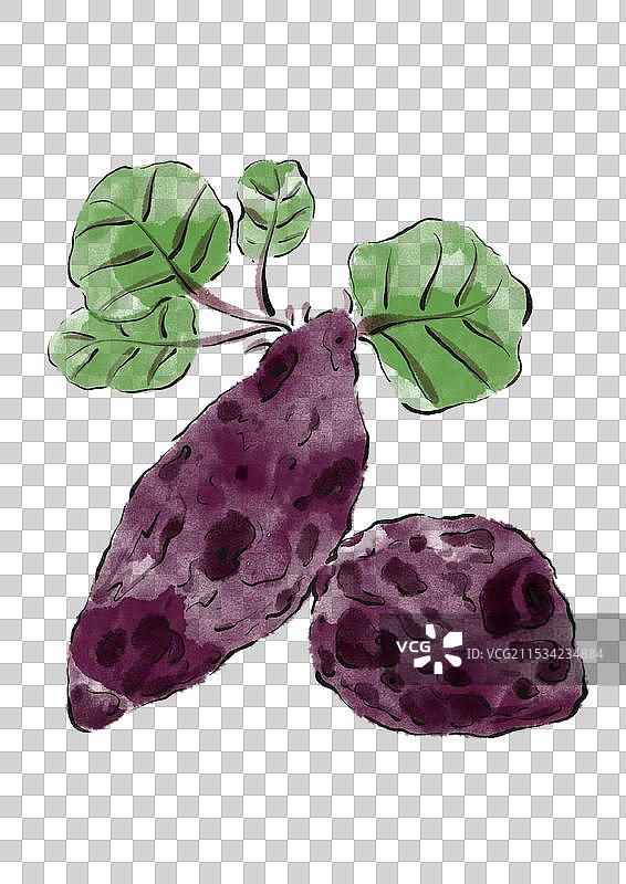 国潮风粗粮农作物插画元素-紫薯图片素材