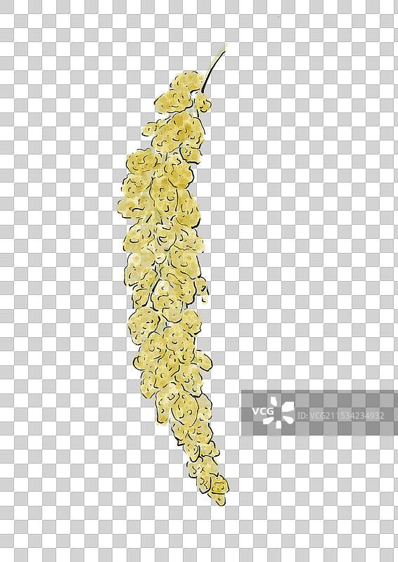 国潮风粗粮农作物插画元素-小米图片素材