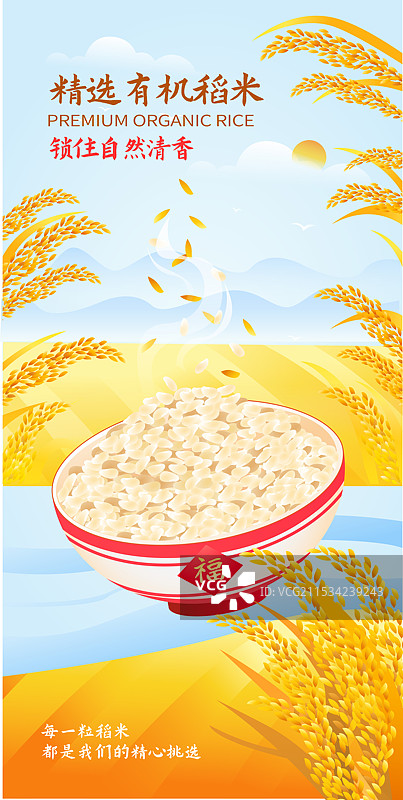 农作物稻谷生长和食用的插画海报模版图片素材