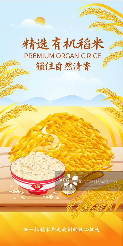 农作物稻谷生长和食用的插画海报模版图片素材