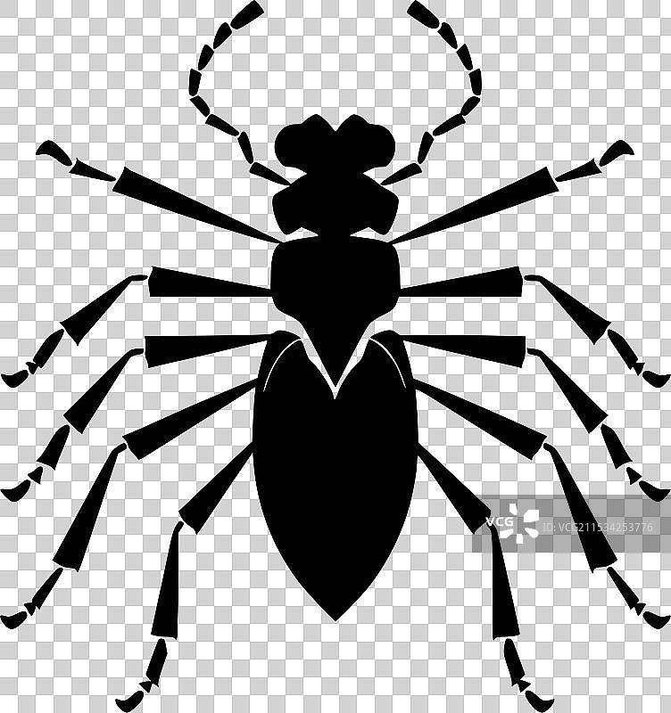 黑白蚂蚁图片素材