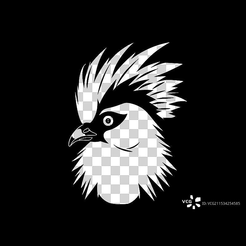 黑白鹦鹉 - 隔离图标图片素材