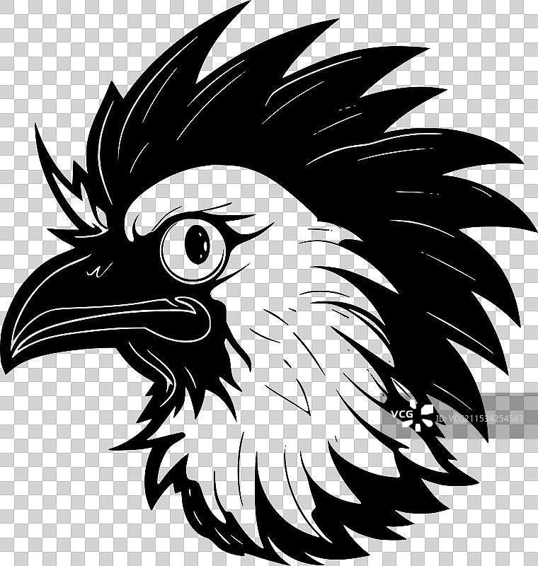 黑白色的凤头鹦鹉图片素材