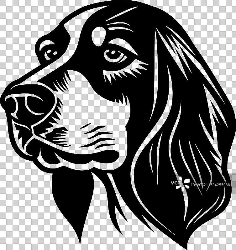 黑白狗图片素材